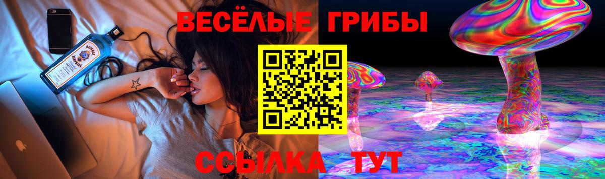 Галлюциногенные грибы Psilocybine cubensis Когалым